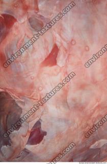 Photo Textures of RAW Pork Meat